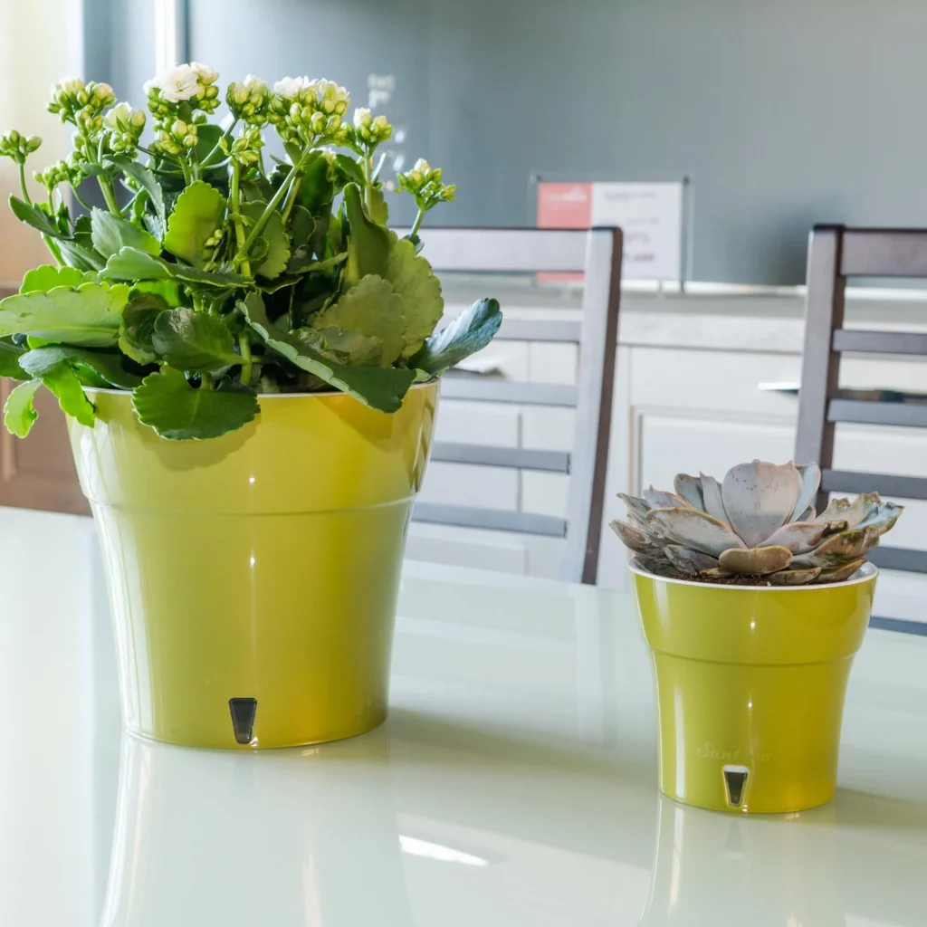 The Santino Dali pot for indoor and outdoor plant conquers with its elegant design and classic shape, and the self-watering system significantly helps to save the time so important for everyone. The Dali pot from Santino is equipped with the characteristic self-watering system and a transparent window for controlling the water level.