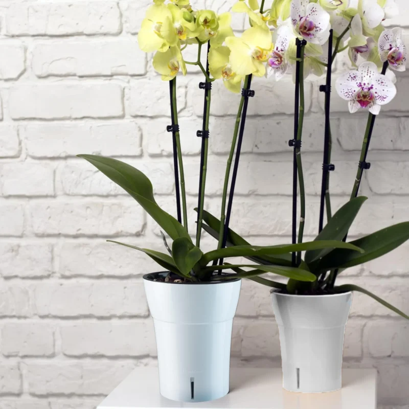 white planter designed for interior and exterior plants, ideal for orchid growth