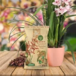 How to use Natural Soil Substrate for Cymbidium and Orchid