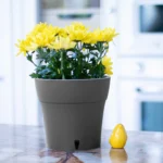 plastic flower pot with self watering system, keep the plant watered for a long time