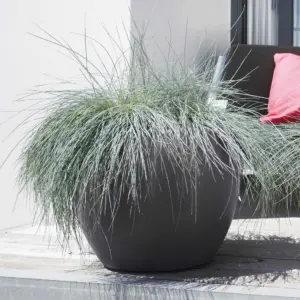 Black Round planter outdoor and indoor